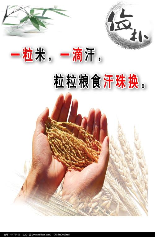 一比一仿希腊身份证
